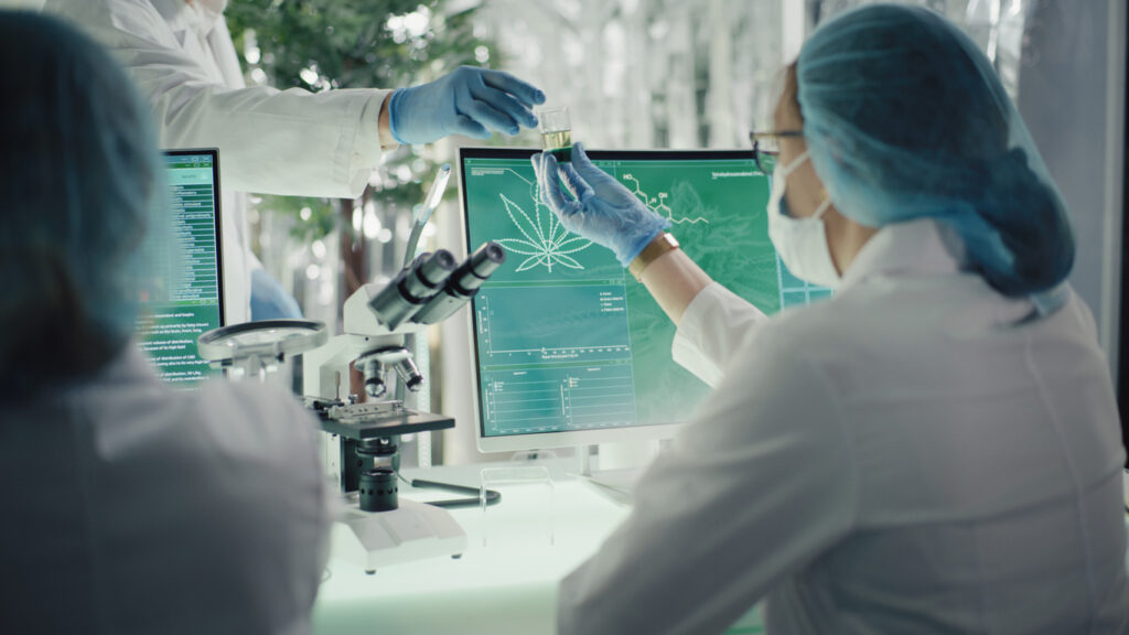 Scientists analyzing cannabis data in lab.