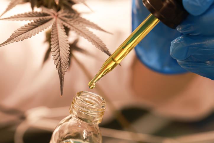Cannabis oil being extracted with dropper.