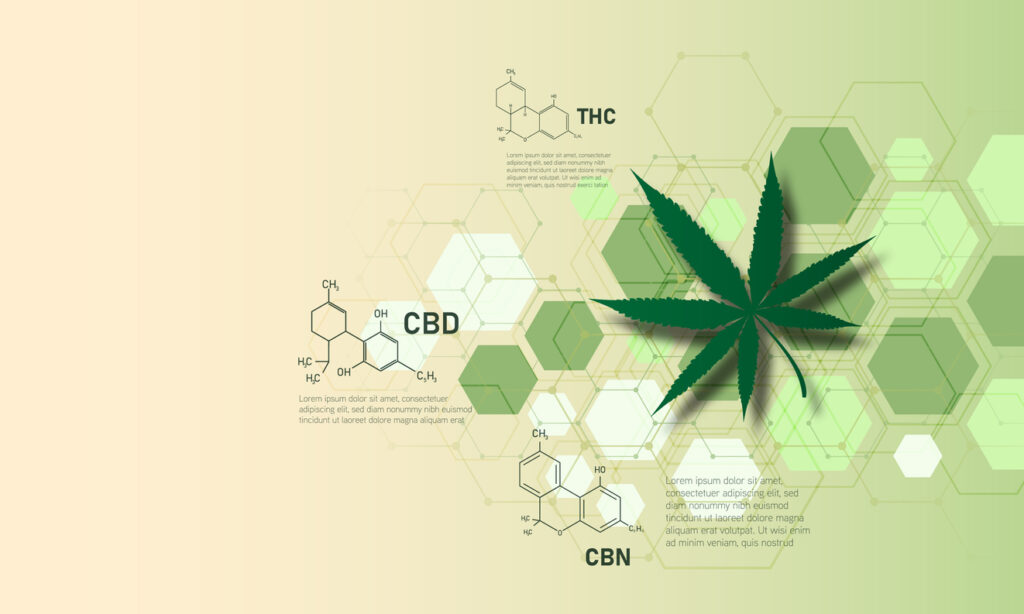 Cannabis leaf with molecular structures of THC, CBD, and CBN on a green background