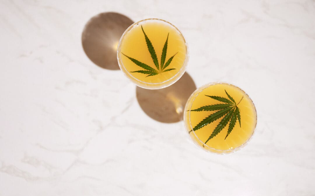 THC Drink Mix Trends: The Growing Demand for THC in Powdered Form