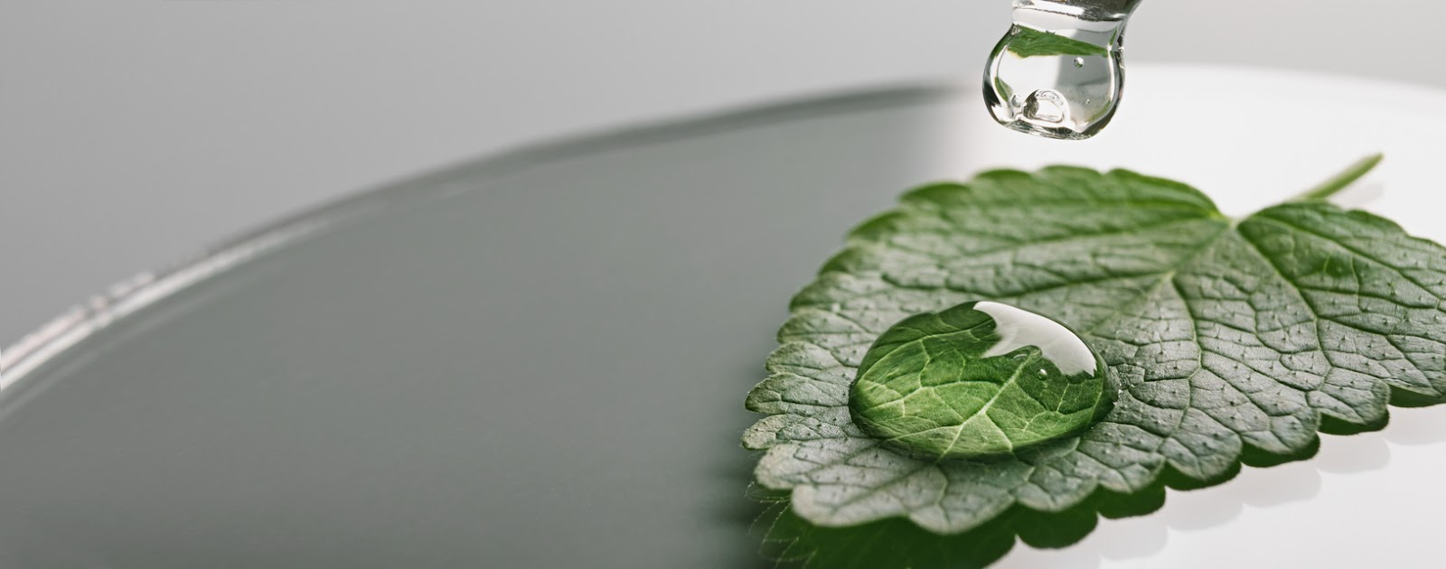Water droplet on green leaf close-up.