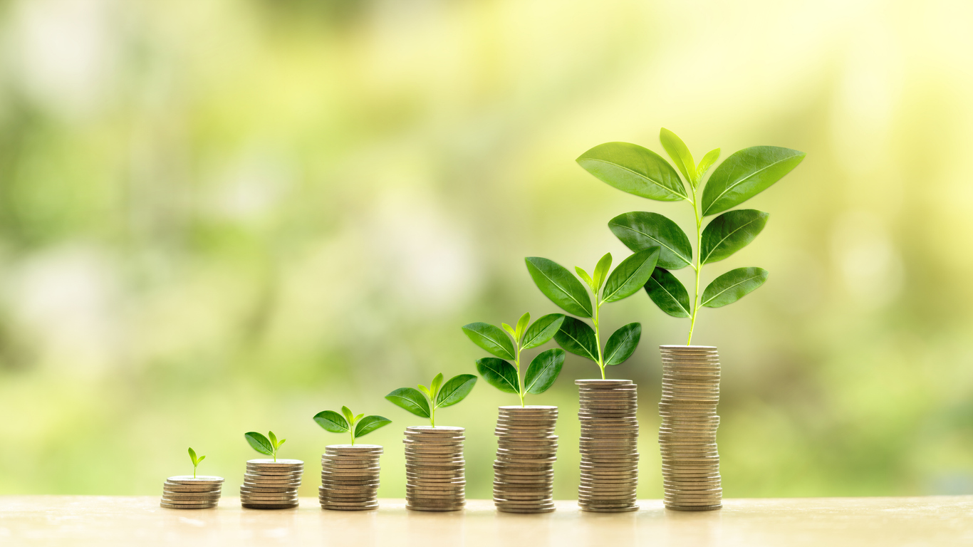 Growing plants stacked on coins symbolize financial growth.
