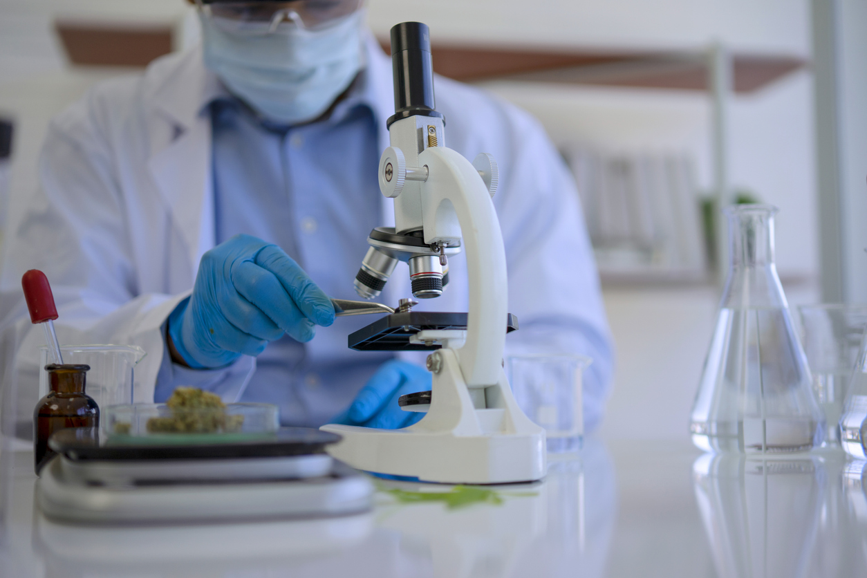 Scientist examining sample under microscope in lab.